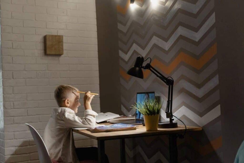Boy learning online